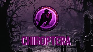 SCRIM POV  Chiroptera  19032024 [upl. by Mitzie]