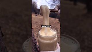 ये कोई शहद 🍯🐝 नही है ये है molasses facts shorts [upl. by Ettelorahc315]