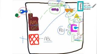 Molecular Basis of Carcinogenesis [upl. by Ronal]