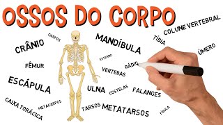 ✅ OSSOS DO CORPO  ESQUELETO HUMANO [upl. by Haldes]