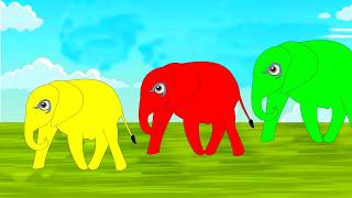 Elephant colour cartoon [upl. by Margot]