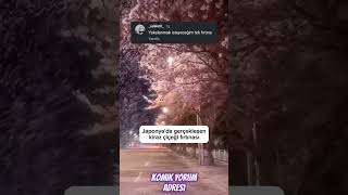 Komik instagram yorumları 251 shorts komik reels komedi mizah keşfet [upl. by Allebasi]