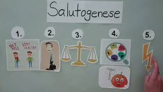 Das SALUTOGENESE MODELL Legefilm [upl. by Haon121]