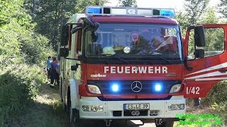 POLIZEIHUBSCHRAUBER ENTDECKT WALDBRAND  Feuerwehr wurde zum Brand gelotst  E [upl. by Miarfe450]