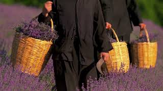 Organic Herbs of the Holy Great Monastery of Vatopedi [upl. by Nanda166]