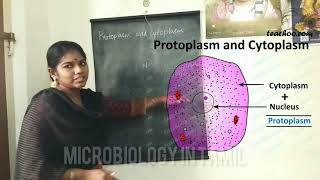 Bacterial cell Structure தமிழில் Part 2 Begginers must watch [upl. by Fabyola]