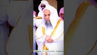 Surah Fatiha By Shaikh Faisal Ghazzawi shorts [upl. by Yelmene826]