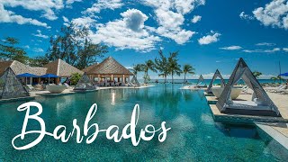 Top 5 Best Resorts In Barbados  Best Hotels In Barbados [upl. by Noid782]