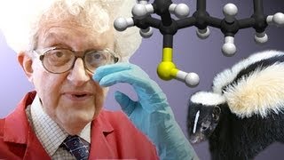 Smelly Chemistry  Periodic Table of Videos [upl. by Sheffy81]