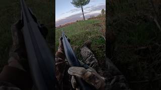 My first turkeys turkey hunt [upl. by Naanac]