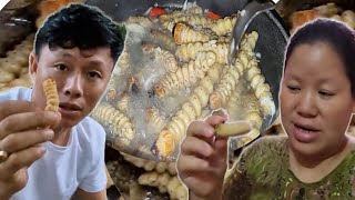 Find tree worms  Eating tree worms delicious  Traditional cooking vlogs North East India [upl. by Llenahs]