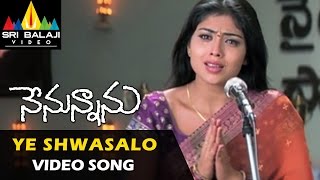 Paavada  Paavam Paavada Video Song ft Prithviraj Sukumaran  Official [upl. by Kassandra]