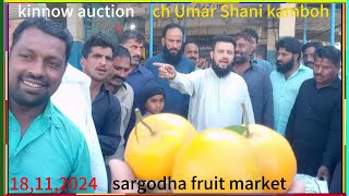 18112024 ch Umar Shani kamboh is engaged in kinnow auction  known as ch Tahir kombow amp sons [upl. by Charmion]