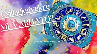 ✧˚｡Csillagjegyek ⚜️Mi várható 2024 zodiac malvitarot 💗😌 [upl. by Roldan]