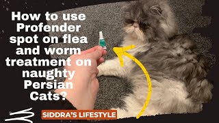 Profender Flea amp Worm Treatment for Cats Profender Flea Worm Treatment Cats [upl. by Enelegna648]