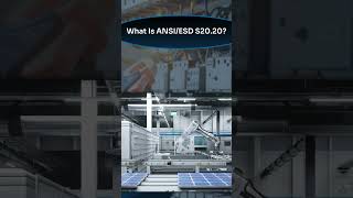 What Is ANSIESD S2020 [upl. by Reviere181]