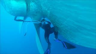 UNDERWATER PROPELLER POLISHING [upl. by Ahsinyar240]