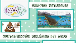 Contaminación biológica del agua EN LENGUA DE SEÑAS [upl. by Kabab]