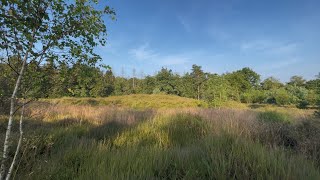 A fresh cup of Coffee and a 3500 year old Burial Mound [upl. by Ingvar]