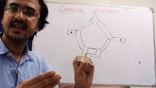 Cervical Vertebrae  Anatomy  Urdu Part 12 [upl. by Swenson602]