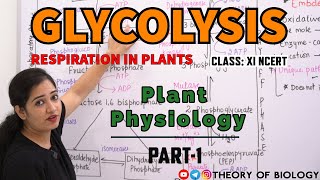 Glycolysis Respiration in plants ClassXI PLANT PHYSIOLOGY NEET 2025DSSB PGTHTETKVS BIOLOGY [upl. by Ahsinaj]