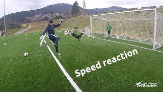 Goalkeeper training Speed Reaction [upl. by Anoek]