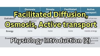 شرح فسيولوجي Facilitated diffusion Osmosis Active transport Pinocytosis [upl. by Halford]