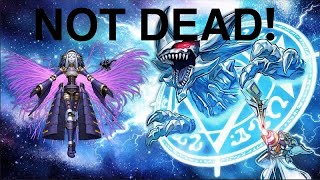 4th place Invoked shaddoll Dogmatika deck profile JanFebruary 2024 [upl. by Auohp]