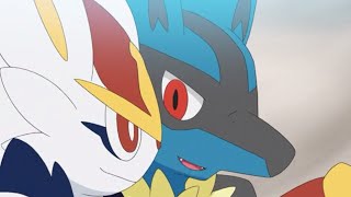 Cinderace and Lucario s CuteFunnyCool Moments From Pokemon Journeys Ep 48 [upl. by Berti]