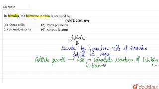 In females the harmone inhibin is secreted by [upl. by Erlewine408]