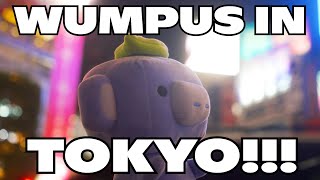 Wumpus Goes to TOKYO 🇯🇵 [upl. by Aisatana]