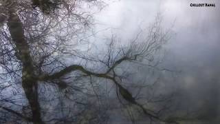 Natur und Wald Impressionen 7 Chillout Entspannung Meditation Musik [upl. by Ranchod]