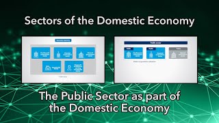 Sectors of the Domestic Economy [upl. by Haraf804]