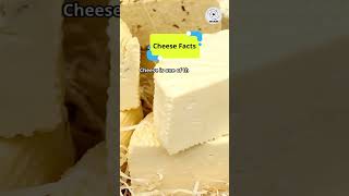 Cheese Facts shorts facts interestingfacts [upl. by Nnail]