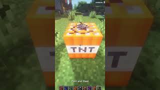 minecraft tnt [upl. by Enylodnewg]