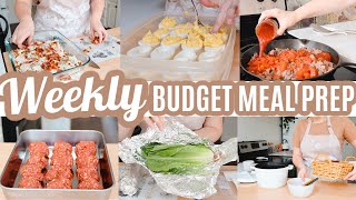 EASY BUDGET FRIENDLY WEEKLY MEAL PREP RECIPES LARGE FAMILY MEALS WHATS FOR DINNER FREEZER MEALS [upl. by Kanor]