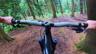 Endo  Trail Video  Forest of Dean Cycle Centre [upl. by Ecenahs]