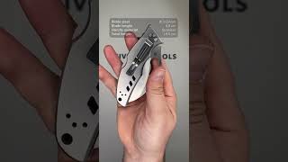 Spyderco Crossbill SS plain edge pocket knife [upl. by Pimbley]