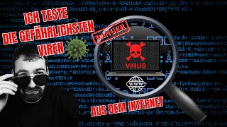 Die GEFÄHRLICHSTEN Computer VIREN  TEIL 1 [upl. by Nylatsyrk]