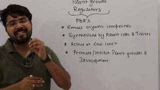 Plant hormonesIntroduction CSIR DBT GATE NEET [upl. by Julee]