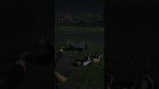 Swamp puppy got a two for one meal reddeadredemtionclips reddeadonline rdr2 rdrclips [upl. by Meesak]