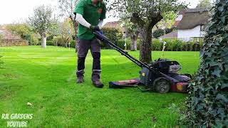 Toro Timemaster with Striping Kit LAWN SCARIFYING RESULTS [upl. by Alyar]