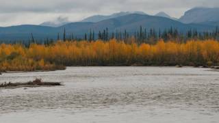 Dempster Highway and Tombstone Territorial Park Part 5 To Eagle Plains and back again [upl. by Retnuh]