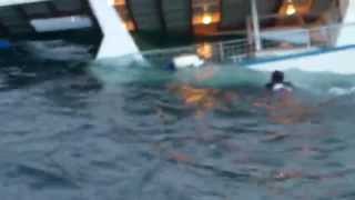 Sharks Attack Man off Sinking Boat [upl. by Joung]