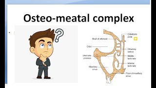 ENT OsteoMeatal Complex unit concha bullosa uncinate infundibulum Hiatus semilunaris WHAT IS [upl. by Rebecka]