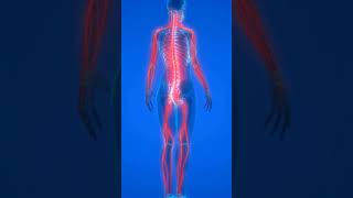 PhysioFit Physical Therapy pain orthopedic doctor physicaltherapy wellness [upl. by Esinnej]