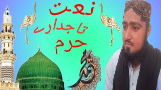 naat muhammadﷺ mdina تاجدارے حرم duet lug video 🕋 v amp [upl. by Trev]