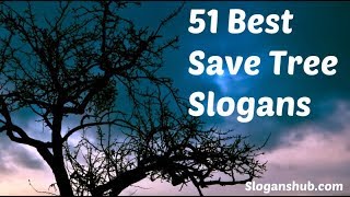 Top Slogans onquotSAVETREESquot in EnglishSAVE TREES slogansSLOGANS ON SAVE TREES IN ENGLISH [upl. by Dyer]