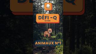 Le DéfiQ  Animaux n°1  quiz shorts [upl. by Tolley726]