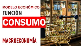 Macroeconomía función de consumo [upl. by Rock]